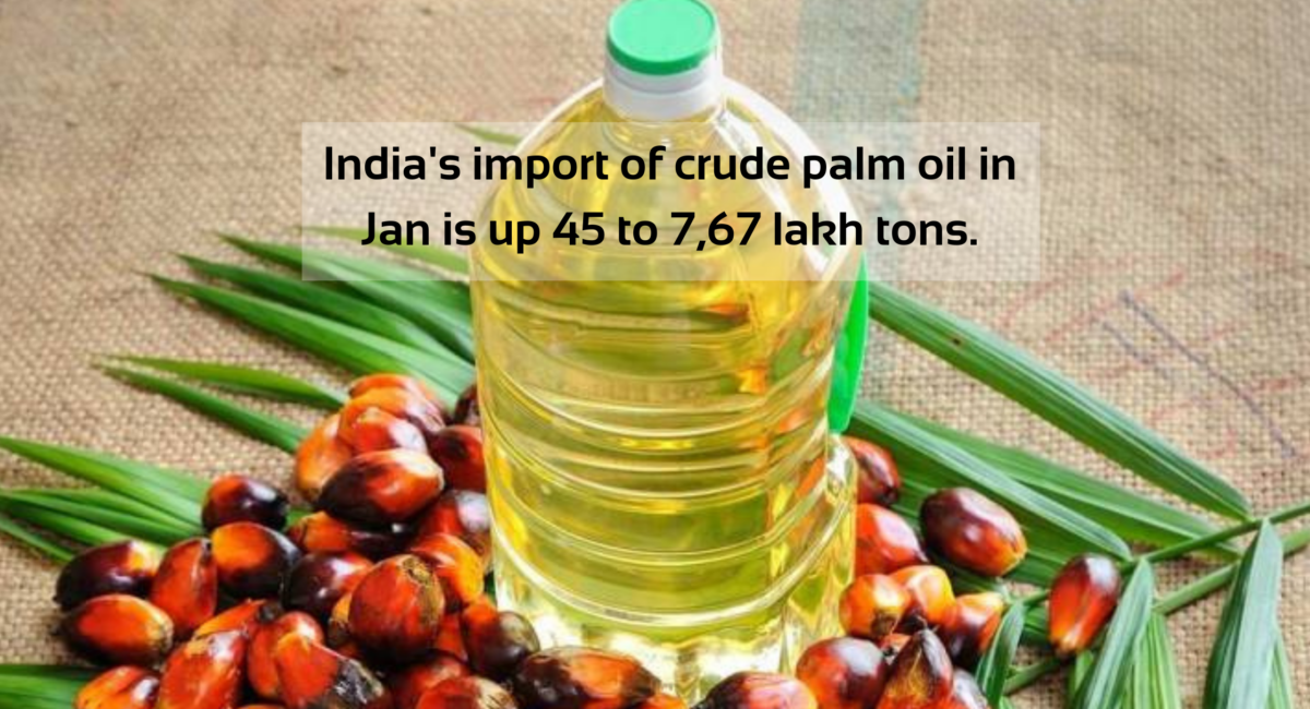 India's import of crude palm oil in Jan is up 45 to 7,67 lakh tons.