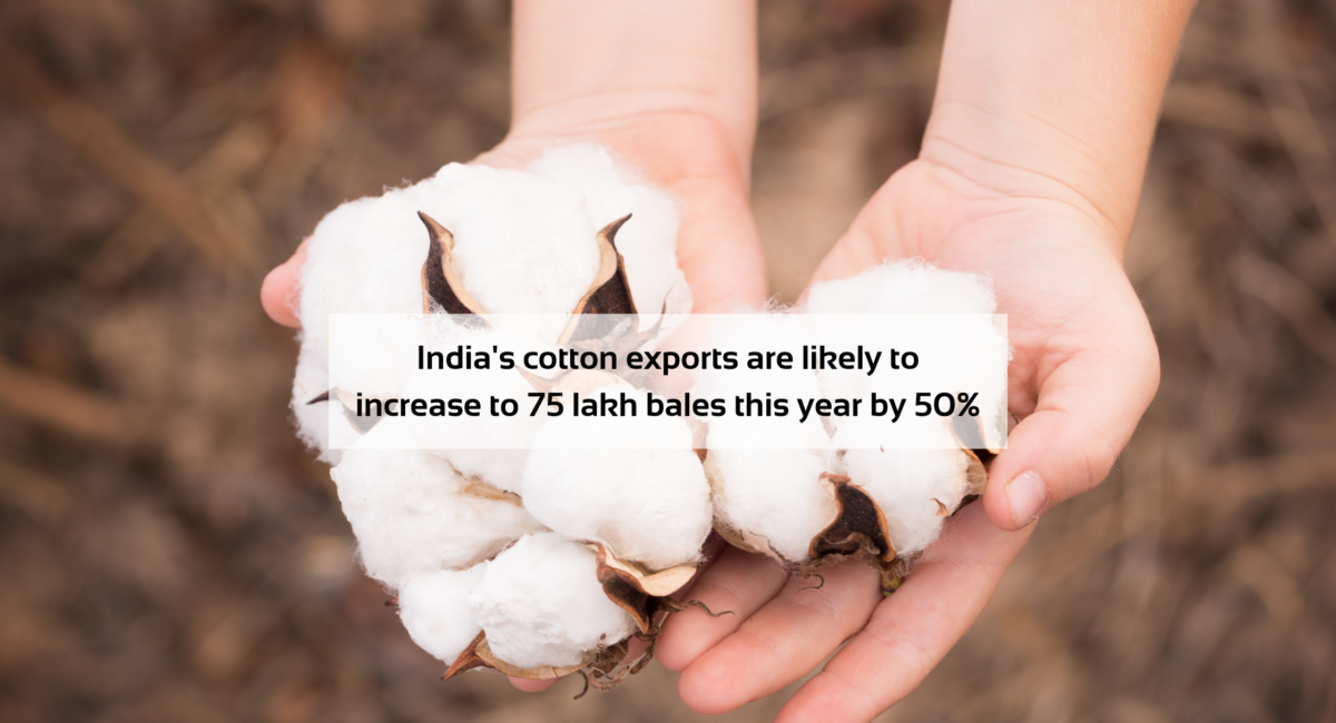 India's cotton exports are likely to grow to 75 lakh bales this year by 50 percent.